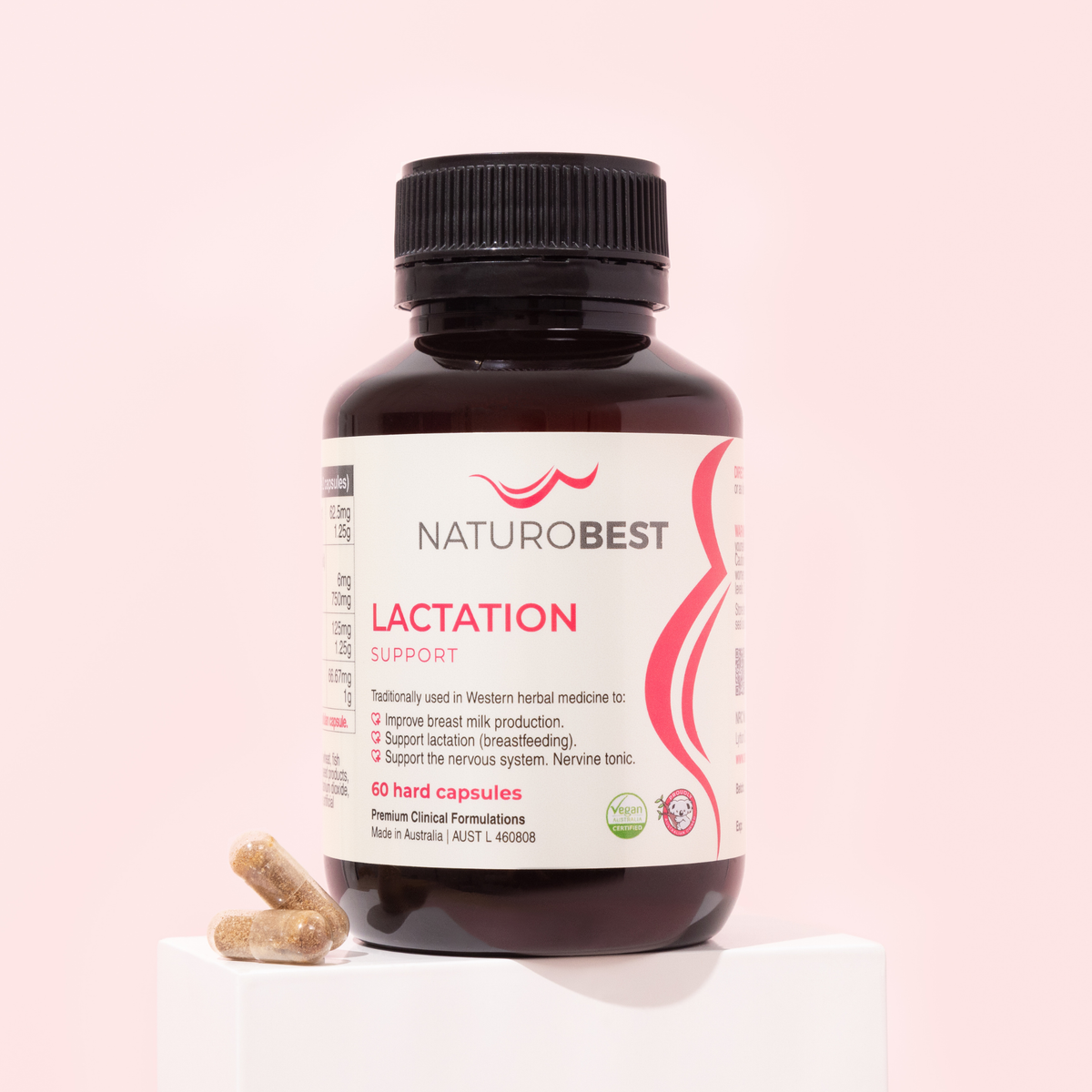 Lactation Support